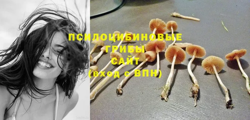 kraken ONION  Кумертау  Галлюциногенные грибы Magic Shrooms  наркошоп 